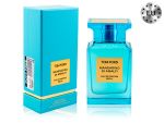 TOM FORD MANDARINO DI AMALFI, Edp, 100 ml (Lux Europe)