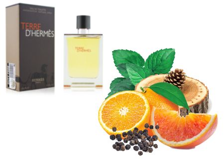 HERMES TERRE D'HERMES, Edt, 100 ml (Lux Europe)