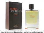 HERMES TERRE D'HERMES EAU INTENSE VETIVER, Edp, 100 ml